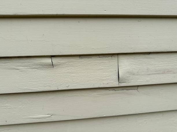 Best Vinyl Siding Installation  in Elwood, IN